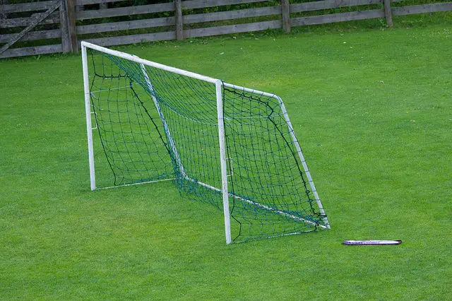 backyard soccer goal